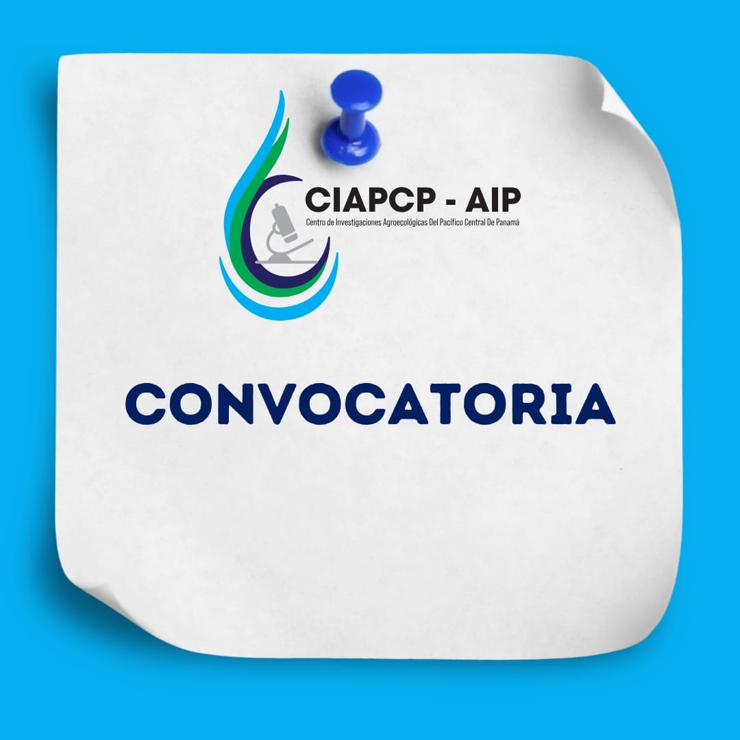 Convocatoria Investigador